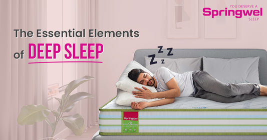 The Essential Elements of Deep Sleep