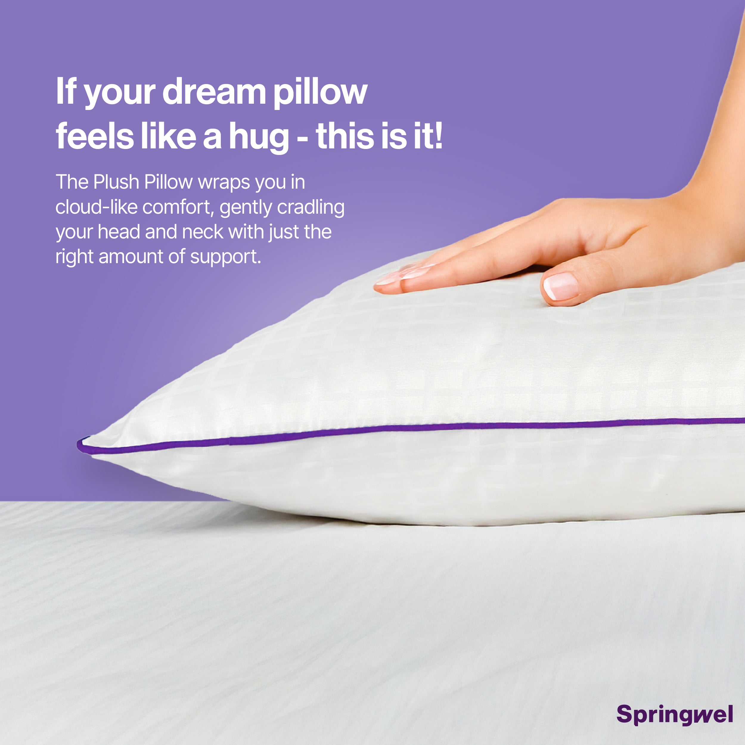 Plush Microfiber Pillow (27x17) - Set of 2