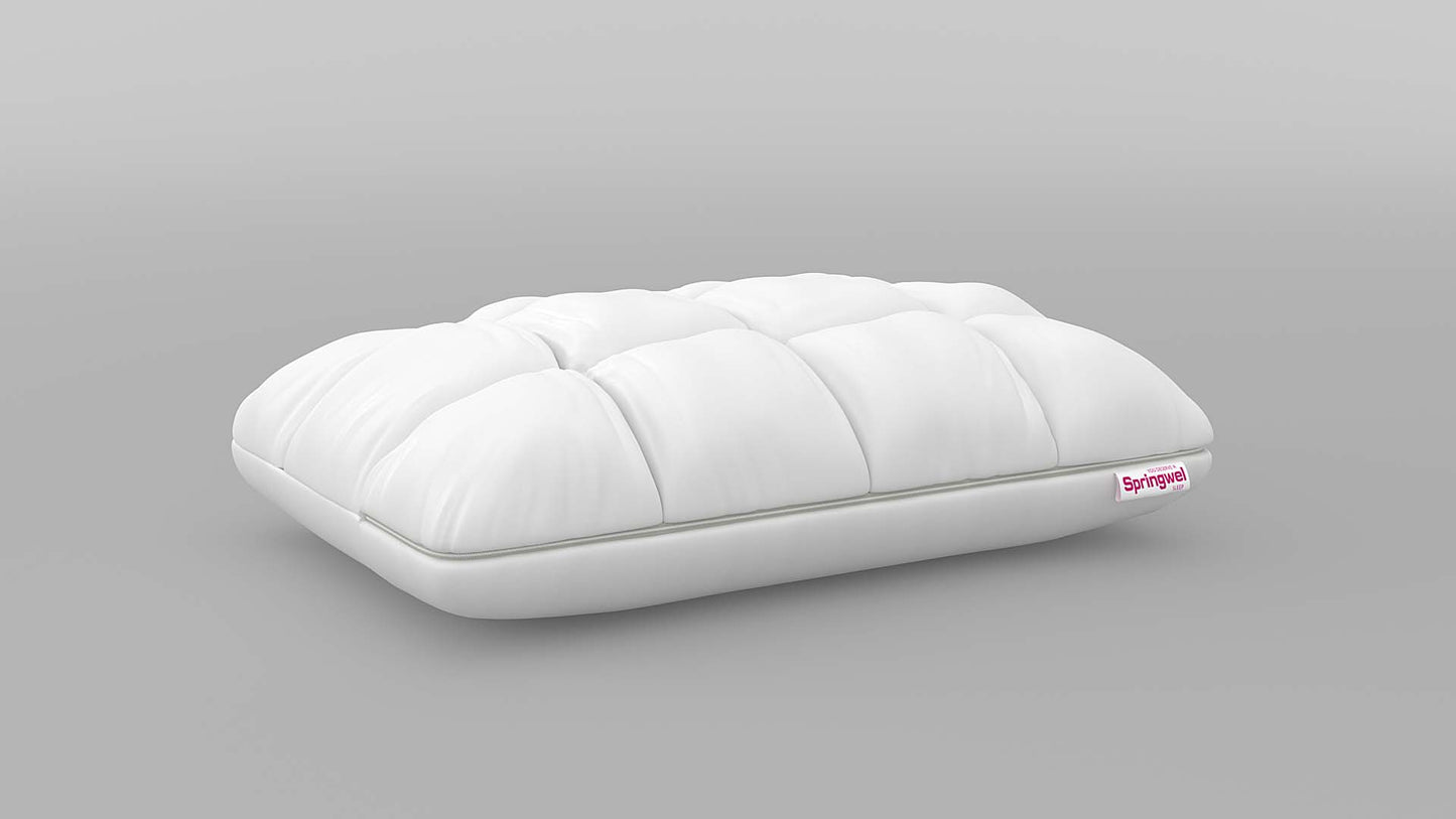 Ergo Soft Dual Comfort Pillow