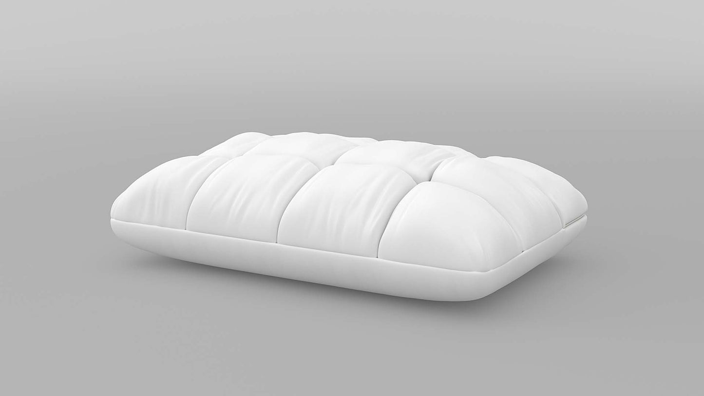 Ergo Soft Dual Comfort Pillow