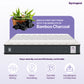 Essential Reversible HD Foam Mattress