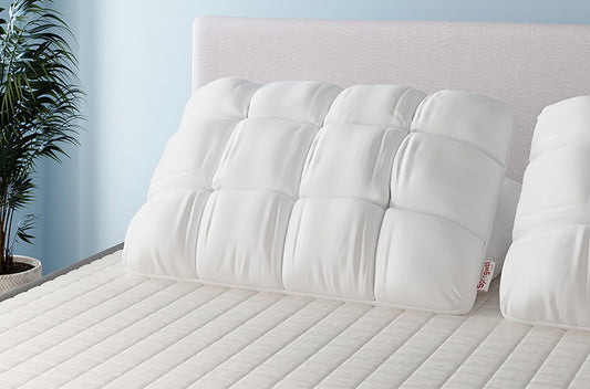 Ergo Soft Dual Comfort Pillow Frontview